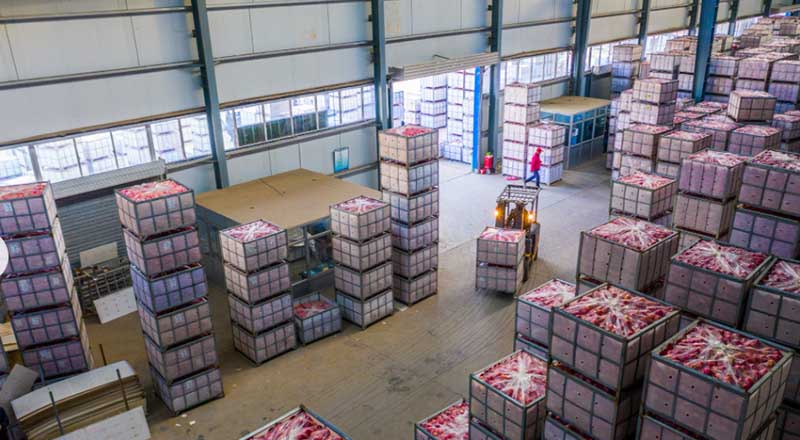  1100x1100-Metal-Cold-Storage-Box-for-apples-11