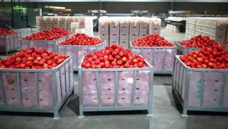  1100x1100-Metal-Cold-Storage-Box-for-apples-22